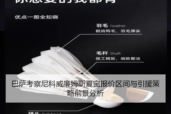 ba-sa-kao-cha-ni-ke-wei-lian-mu-si-xia-chuang-bao-jia-qu-jian-yu-yin-yuan-ce-lve-qian-jing-fen-xi-2-811.jpg