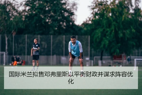 guo-ji-mi-lan-ni-shou-deng-fu-li-si-yi-ping-heng-cai-zheng-bing-mou-qiu-zhen-rong-you-hua-2-554.jpg