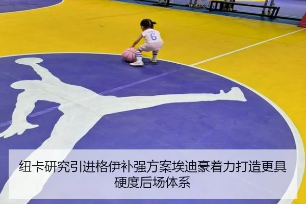 纽卡研究引进格伊补强方案埃迪豪着力打造更具硬度后场体系
